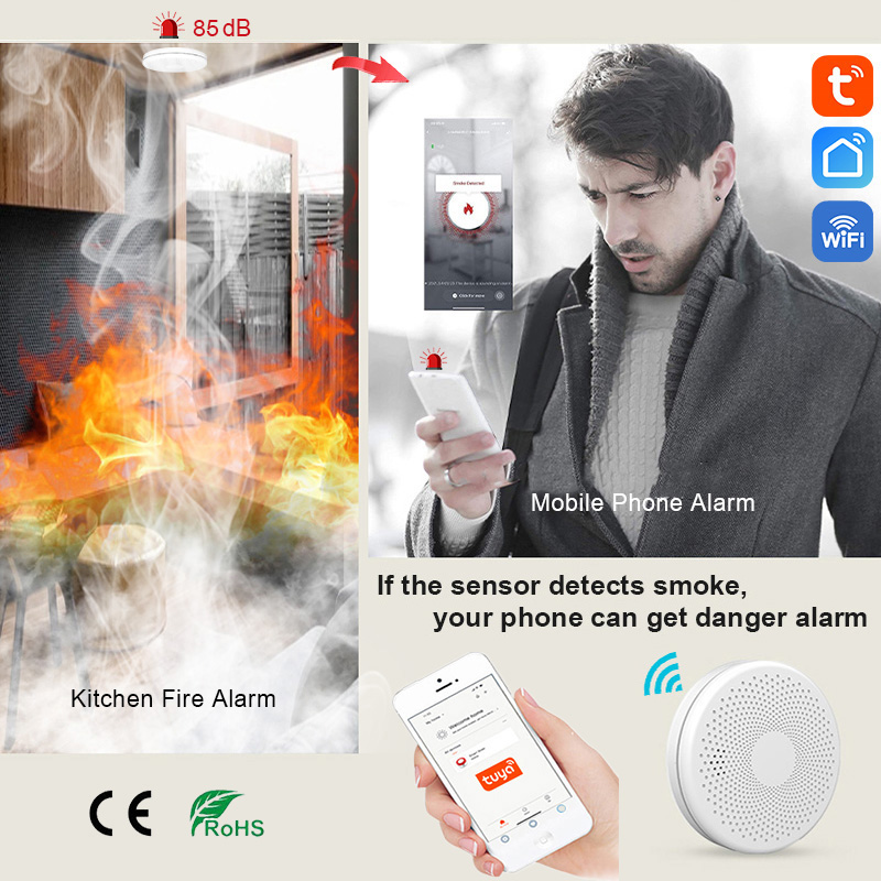 2 in 1 Version WiFi Tuya Smart – Smoke Detector Interconnected Bewertung und Preis