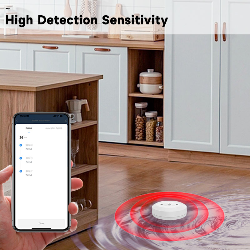 Tuya Zigbee2mqtt Water Immersi – Water Alarm Sensor Bewertung und Preis