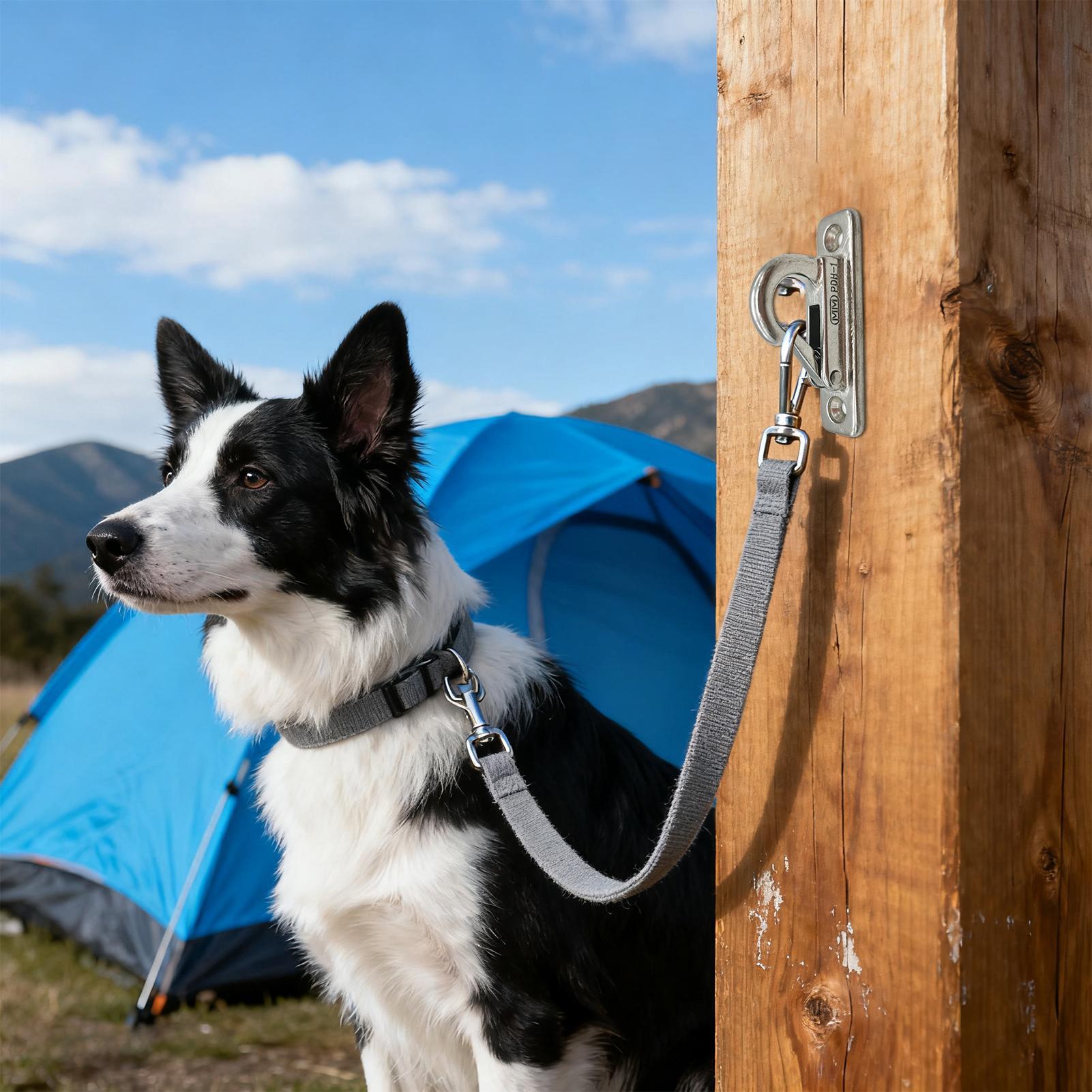 Dog Leashes Holder for Wall Pe – Security Chain Door Bewertung und Preis