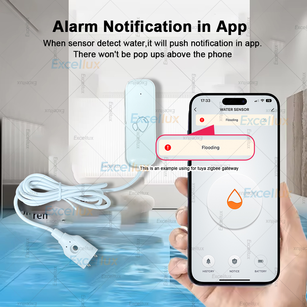 Zigbee Smart Water Leak Sensor – Water Alarm Sensor Bewertung und Preis