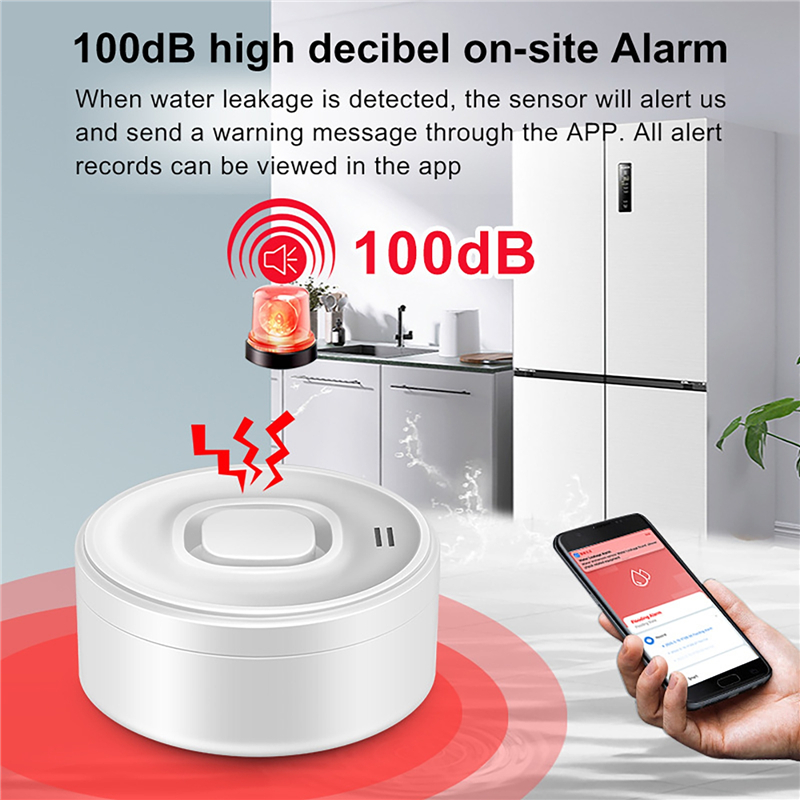 Smart WIFI Water Leak Detector – Water Alarm Sensor Bewertung und Preis